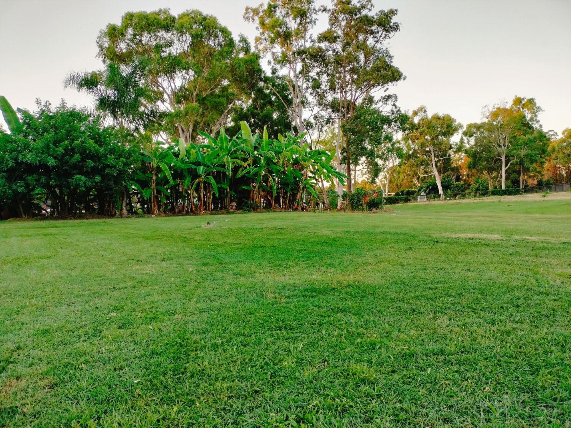 The Woodlands Hideaway - Premium Acreage Guesthouse Browns Plains Exterior foto